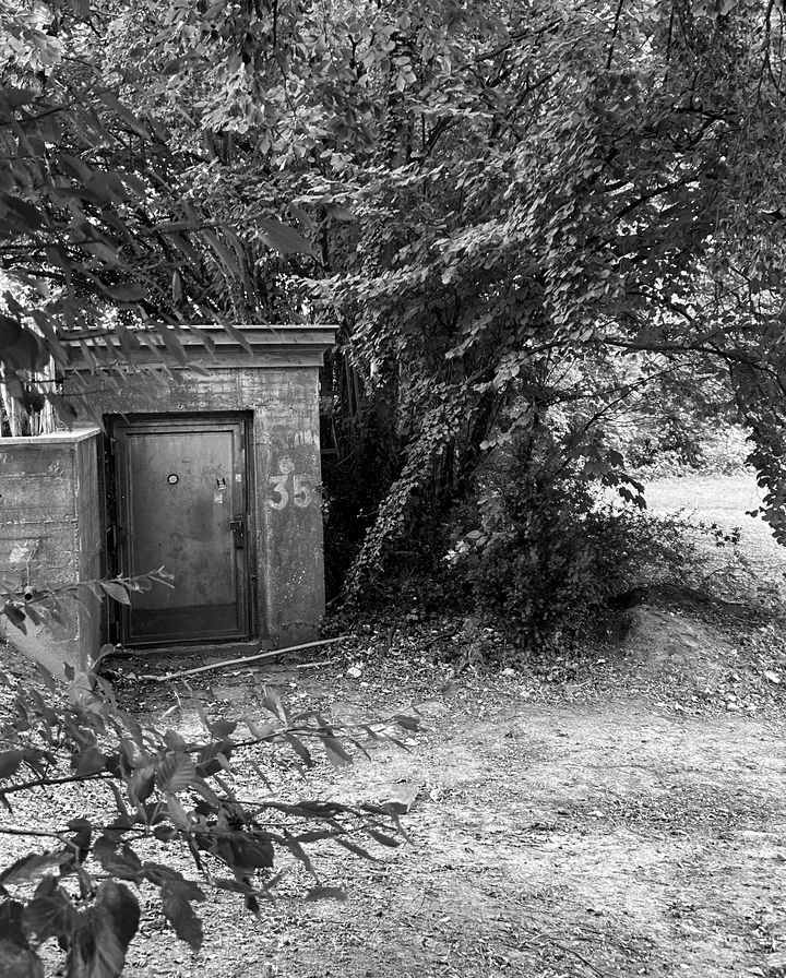 Der Eingang zum Bunker: eine Stahltür im Grünen.
