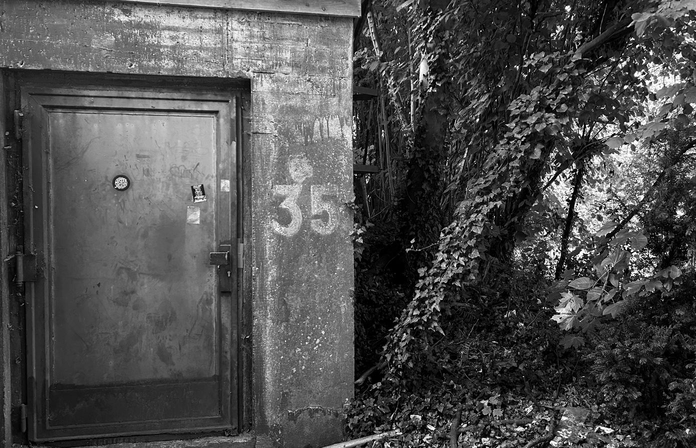 Graue Stahltür mit der Nummer 35, umgeben von Efeu und Sträuchern – der Eingang zum Bunker.