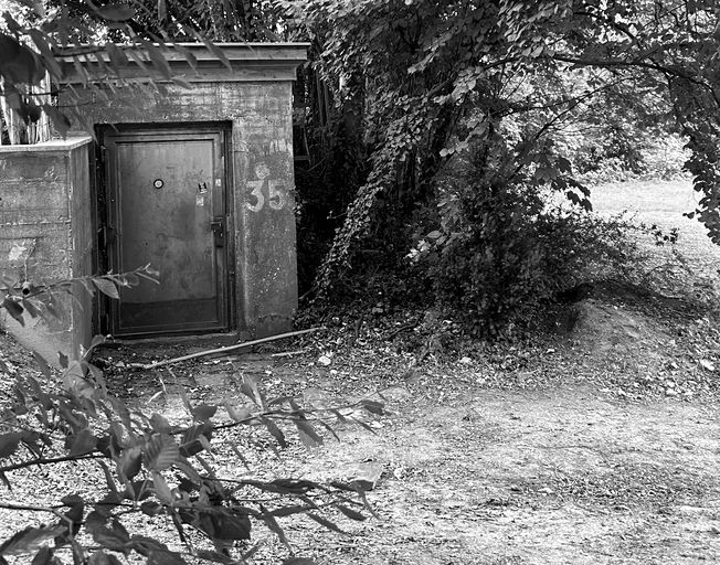 Der Zugang zum Bunker, versteckt zwischen Büschen.